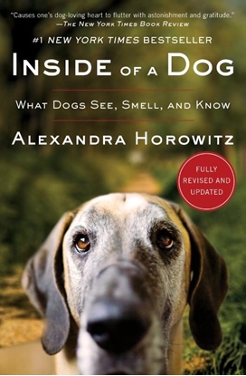 Afbeeldingen van Inside of a Dog
