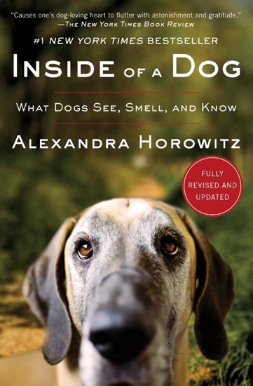 Afbeelding van Inside of a Dog