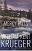 Afbeelding van Cork O'Connor Mystery Series Mercy Falls