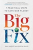 Afbeelding van The Big Fix