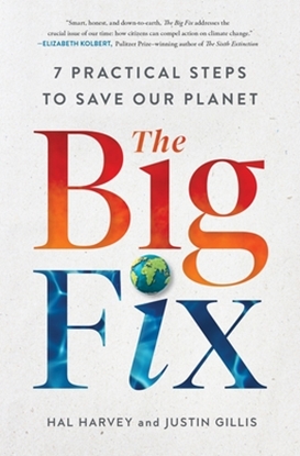 Afbeeldingen van The Big Fix