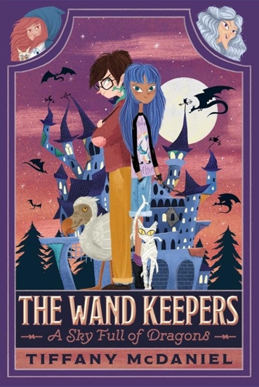 Afbeelding van The Wand Keepers McDaniel, T: Sky Full of Dragons