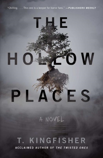 Afbeelding van The Hollow Places