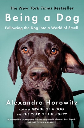 Afbeeldingen van Horowitz, A: Being a Dog