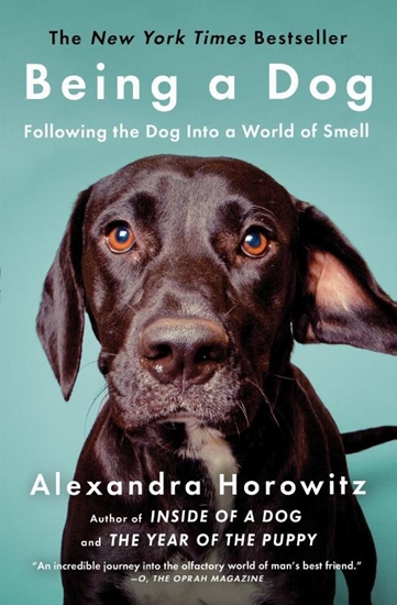 Afbeelding van Horowitz, A: Being a Dog