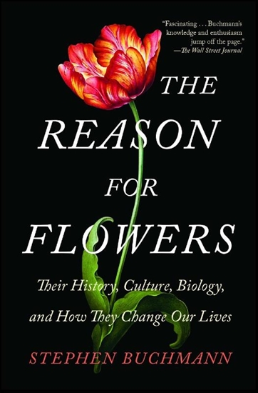 Afbeelding van The Reason for Flowers