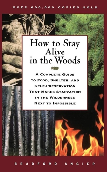 Afbeelding van How to Stay Alive in the Woods
