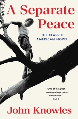 Afbeeldingen van A Separate Peace