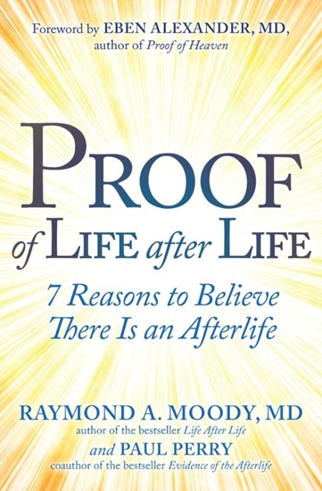 Afbeelding van Proof of Life after Life
