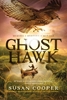 Afbeelding van Ghost Hawk