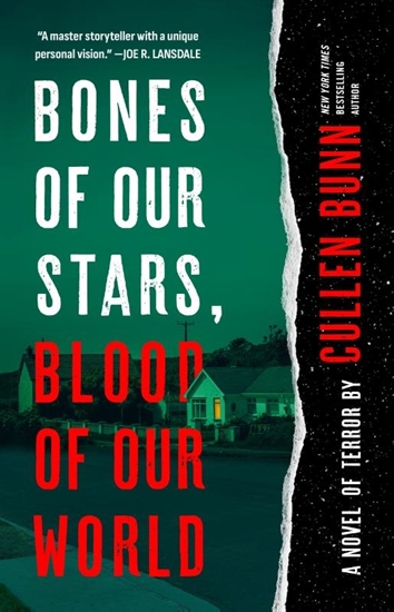 Afbeelding van Bones of Our Stars, Blood of Our World: A Novel of Terror