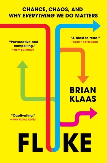 Afbeelding van Fluke: Chance, Chaos, and Why Everything We Do Matters