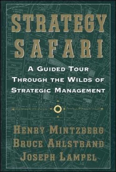 Afbeelding van Strategy Safari