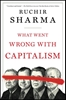 Afbeelding van What Went Wrong with Capitalism