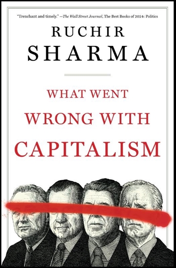 Afbeelding van What Went Wrong with Capitalism
