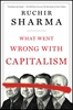 Afbeelding van What Went Wrong with Capitalism
