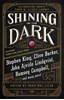 Afbeelding van Shining in the Dark
