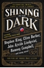 Afbeelding van Shining in the Dark