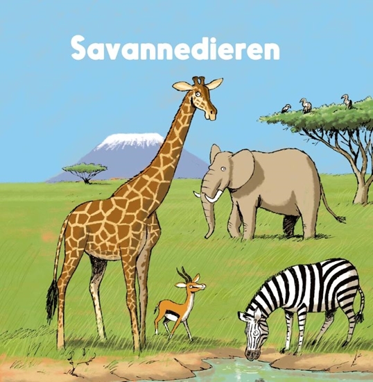 Afbeelding van Wereldwijs Savannedieren