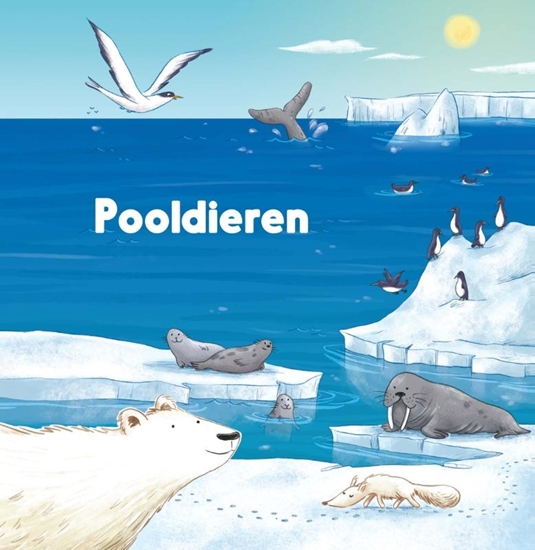 Afbeelding van Wereldwijs Pooldieren
