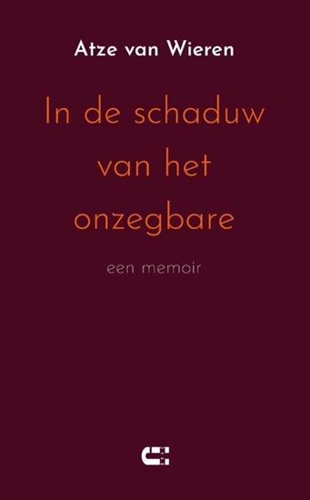Afbeelding van In de schaduw van het onzegbare