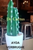 Afbeelding van De Cactus