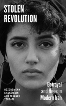 Afbeeldingen van Stolen Revolution