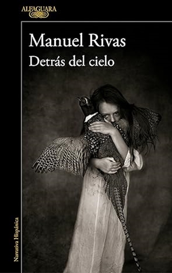 Afbeelding van Detras del cielo