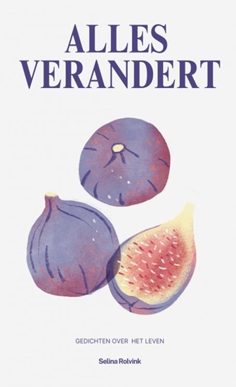 Afbeelding van Alles verandert