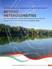 Afbeelding van Scales of Transformation Beyond heterogeneities