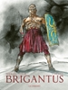 Afbeelding van Brigantus SC De Pict