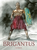 Afbeelding van Brigantus SC De Pict