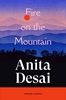 Afbeelding van Brief Encounters Fire On The Mountain