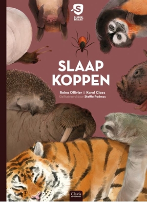 Afbeeldingen van Superbeesjes Slaapkoppen