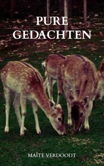 Afbeelding van Pure gedachten