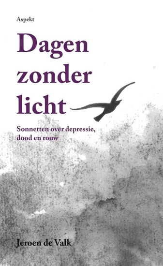 Afbeelding van Dagen zonder licht