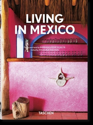 Afbeeldingen van 45th Edition Living in Mexico