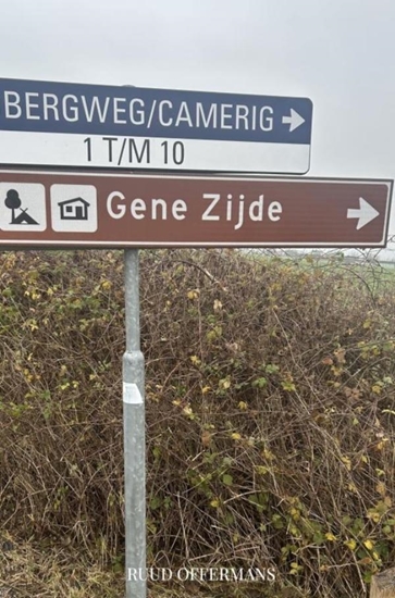 Afbeelding van Gene zijde