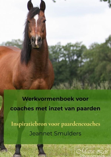 Afbeelding van Werkvormenboek voor coaches met inzet van paarden