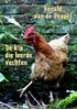 Afbeelding van De kip die leerde vechten