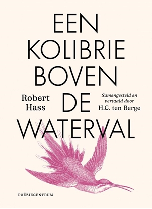 Afbeeldingen van Een kolibrie boven de waterval