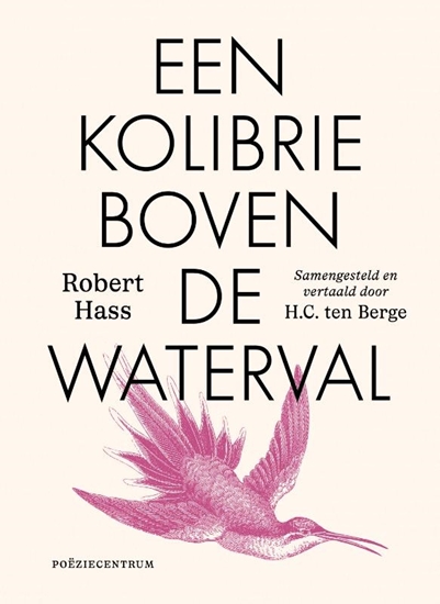 Afbeelding van Een kolibrie boven de waterval