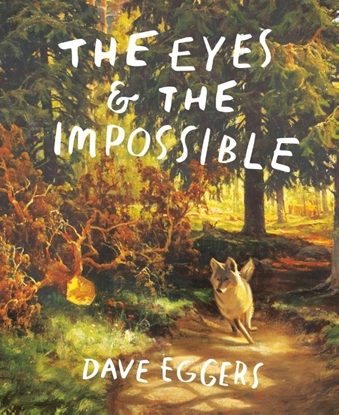 Afbeeldingen van Knopf Books for Young Readers The Eyes and the Impossible