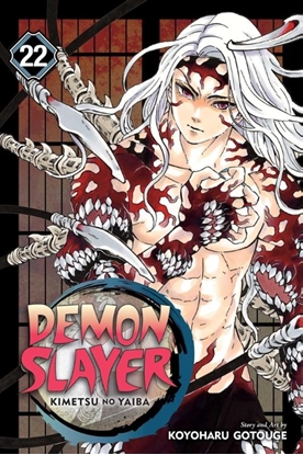 Afbeeldingen van Demon Slayer: Kimetsu no Yaiba Demon Slayer: Kimetsu no Yaiba, Vol. 22