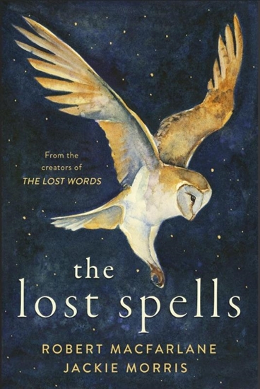Afbeelding van The Lost Spells