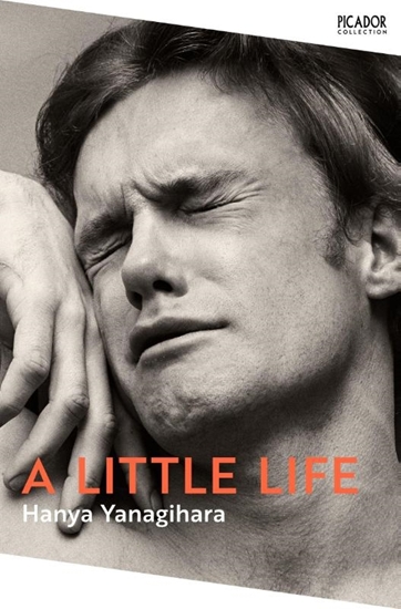 Afbeelding van Picador Collection A Little Life
