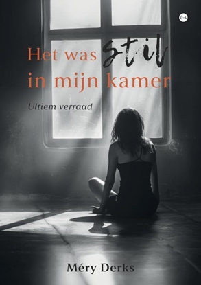 Afbeeldingen van Het was stil in mijn kamer