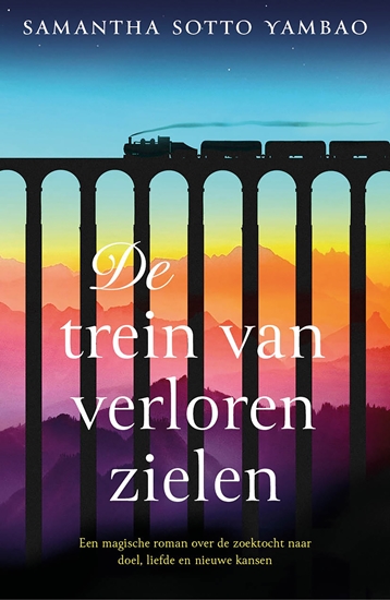 Afbeelding van De trein van verloren zielen