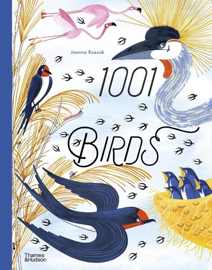 Afbeelding van 1001 1001 Birds