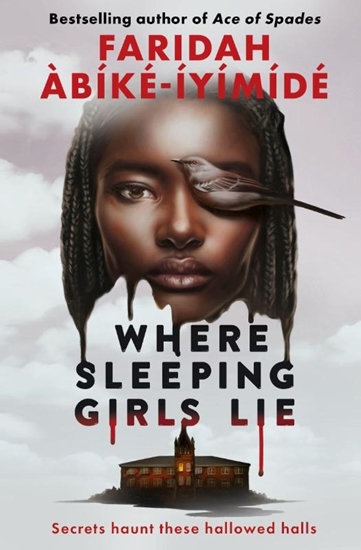 Afbeelding van Where Sleeping Girls Lie